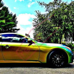AVERY COLORFLOW GLOSS FRESH SPRING (GOLD/SILVER)