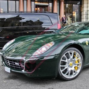 AVERY GLOSS DARK GREEN
