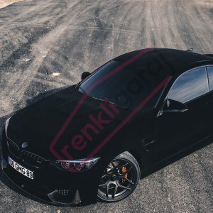 GRAFITYP  - BLACK VELVET (KADİFE DOKU)