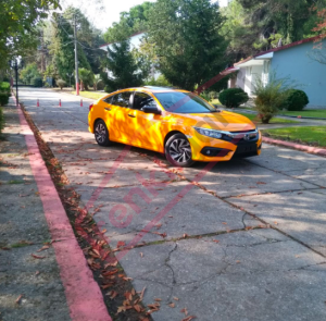 GRAFITYP GPWX25 TAKSİ SARISI / METRELİK (KOYU SARI)